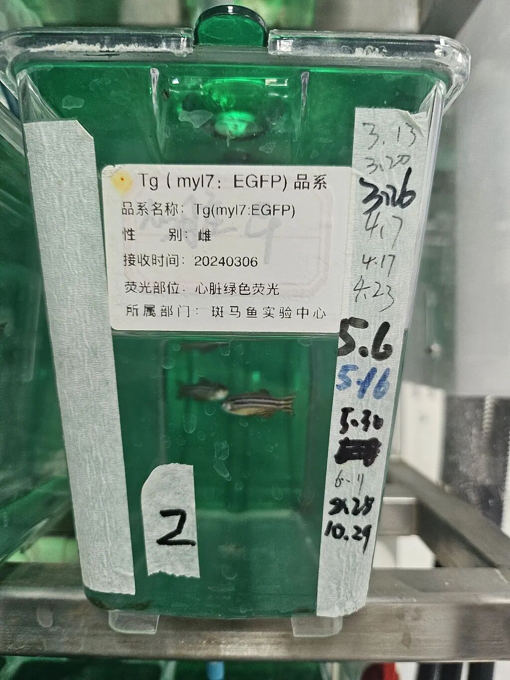 新闻图片8