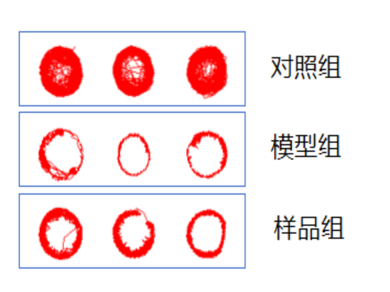 图片2 (1).jpg