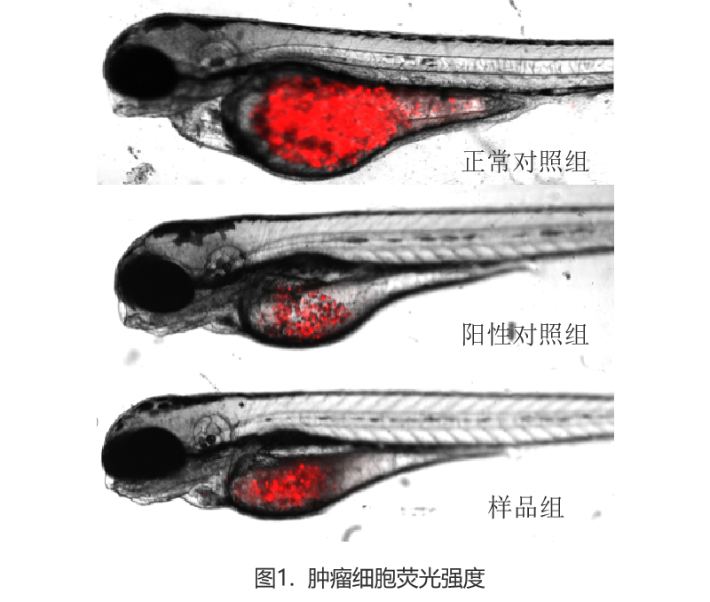 新建-空白-画面 (1).jpg