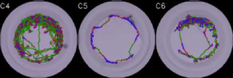 图片1.png 图片1.png