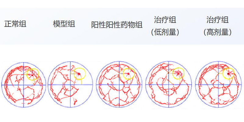 新建-空白-画面.jpg